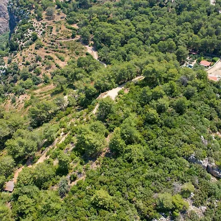 Sojoy Art 4* Fethiye